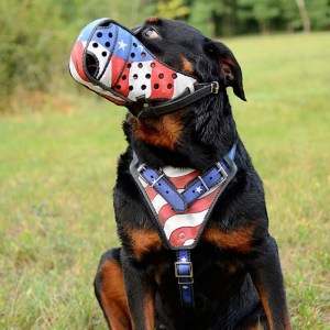 Кожаный намордник с рисунком для дрессировки ротвейлера «American flag»
